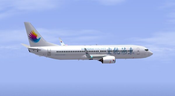 东海航空 B737-800