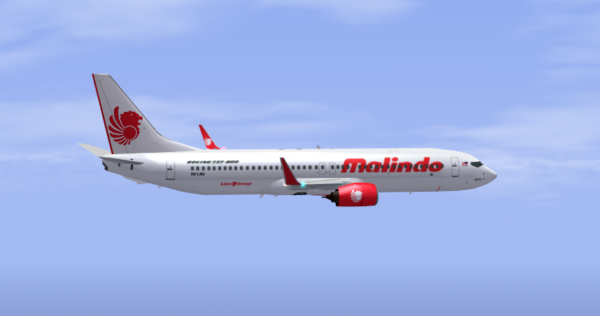 马印航空 B737-800